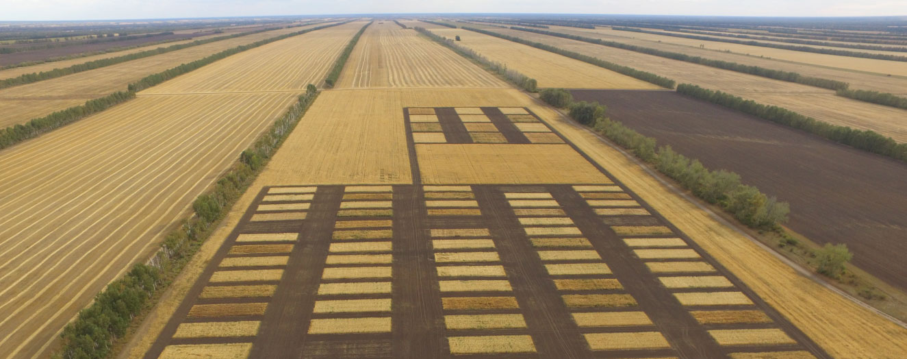 Agricultural landscape of West Siberia Photo: A. Kozhanov