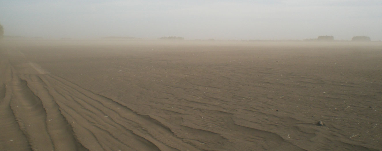 Wind erosion event in the German National Rayon, Altai region Photo: T. Meinel