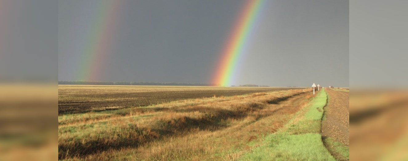 The Kulunda Steppe in the Altai Region Photo: G. Schmidt / P. Illiger