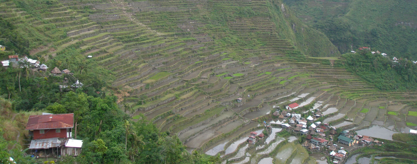 Batad, a UNESCO World Heritage Site in Northern Luzon Photo: J. Settele