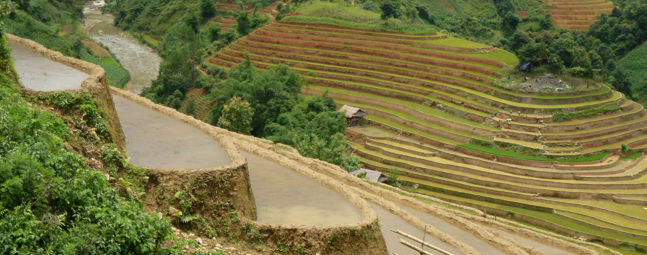 Forests above the rice terraces guarantee more continuous water supply and high biodiversity Photo: J. Settele