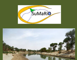 Policy Recommendations SuMaRiO