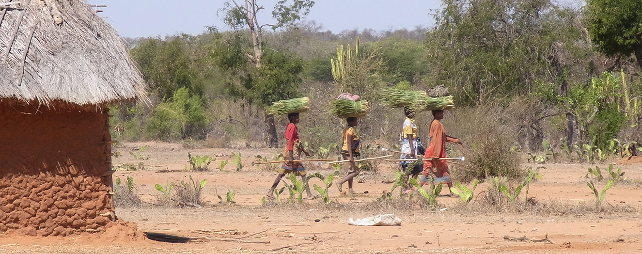 Auf den Weg nach Hause.Dorf Ampasindava, Mahafaly-Plateaus Foto: J. Goetter