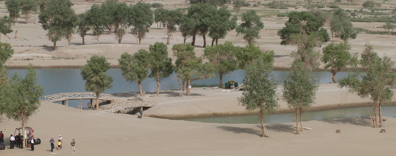 Lower reaches of the Tarim River in summer Photo: M. Disse