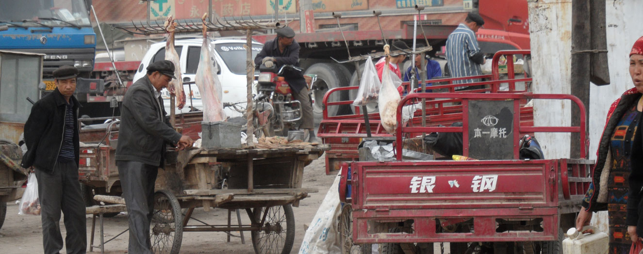 Village life in the Tarim region Photo: P. Keilholz