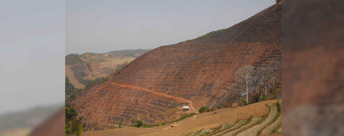 Land cleared ready for new rubber plantations Photo: G. Langenberger