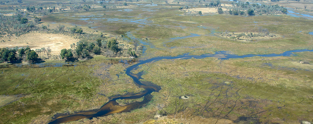The Okavango delta Photo: M. Finckh