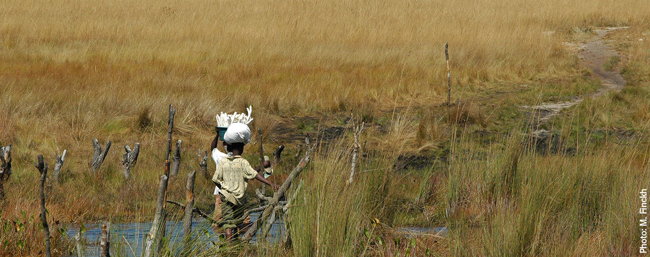 Okavango Delta Photo: M. Finckh
