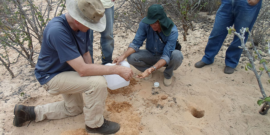 Field work in Brazil Photo: INNOVATE