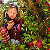 Ingo Bartussek / fotolia.com