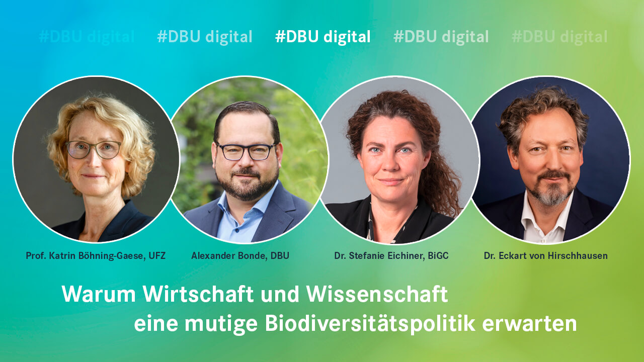 DBU digital ©Grafik: Susan Walter-Pantzer / UFZ