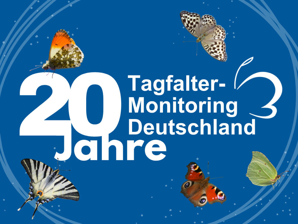 20 Jahre TMD ©Grafik: Julia Prawitz / UFZ