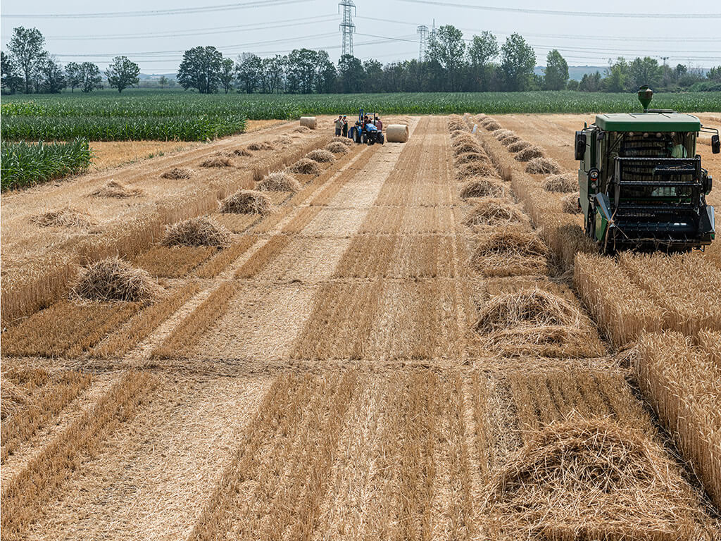 Static fertilization experiment at the UFZ research station in Bad Lauchstädt ©André Künzelmann UFZ