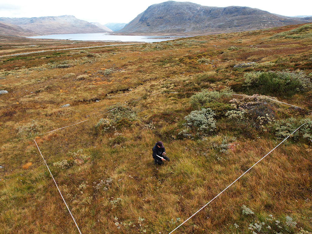 DarkDivNet-Standort in Norwegen © DarkDivNet