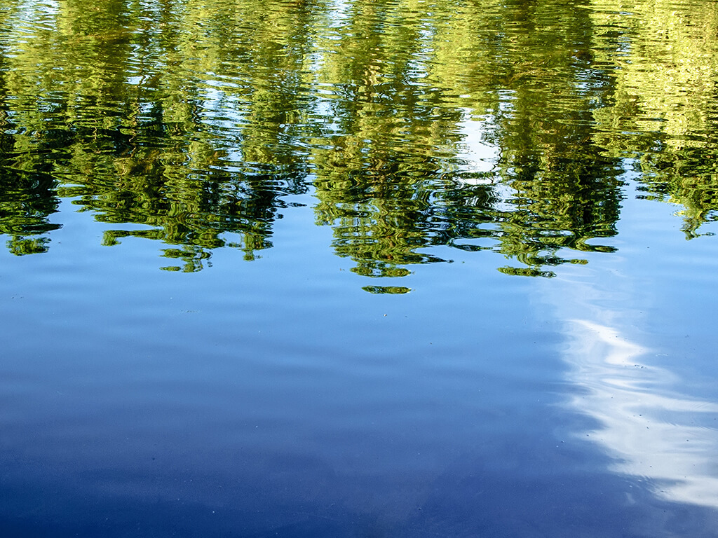 ©Mettus / Adobe Stock