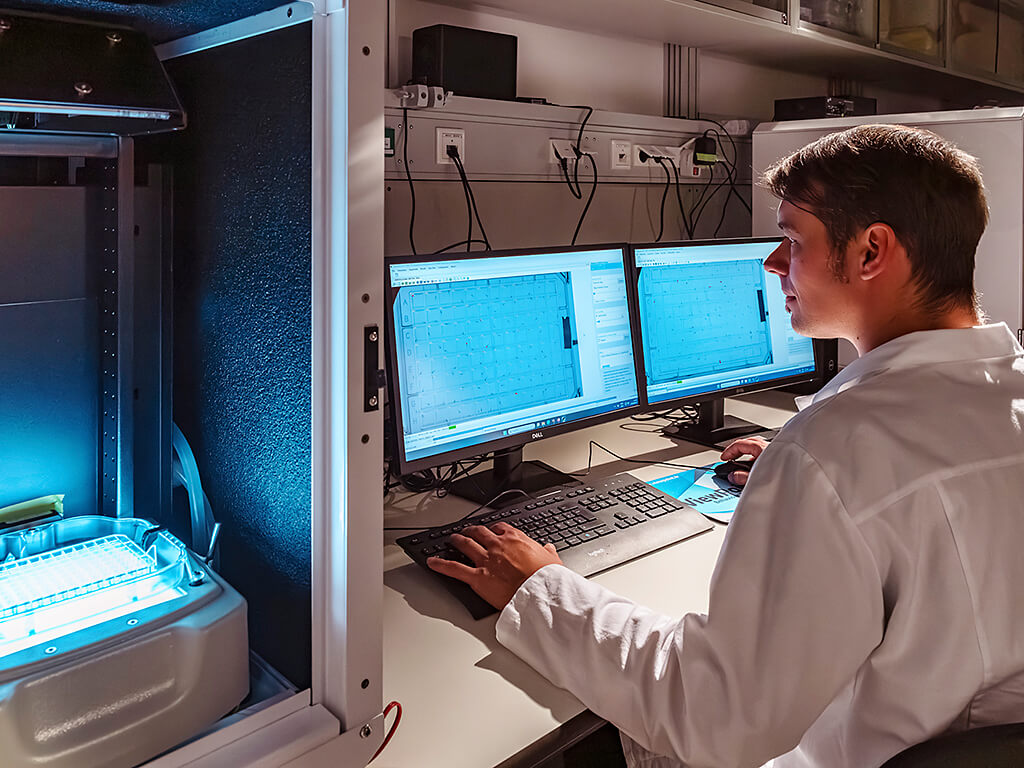 Dr. David Leuthold testet mithilfe des Zebrafischmodells die Neurotoxizität von Umweltchemikalien. ©André Künzelmann / UFZ