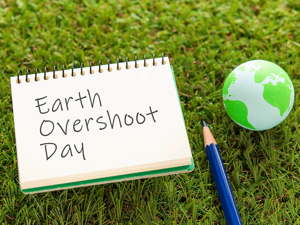 ©hogehoge511_AdobeStock