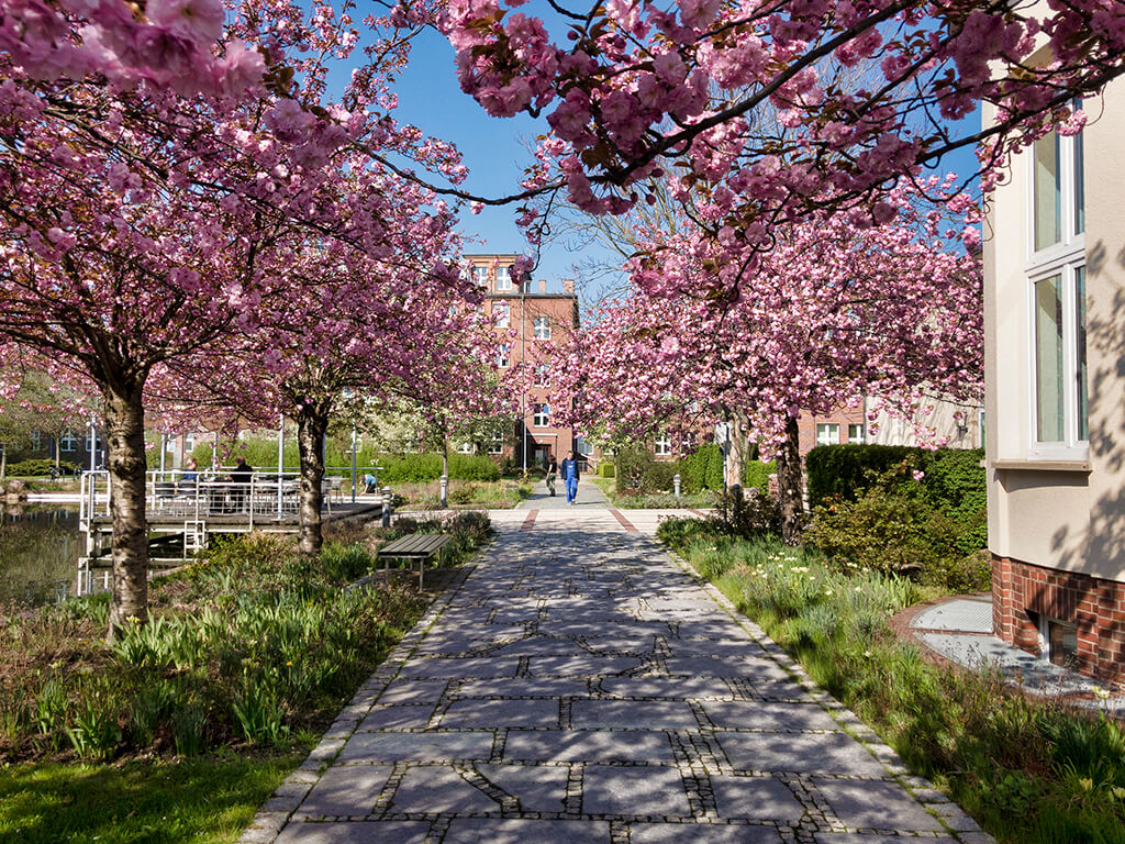 UFZ Leipzig ©André Künzelmann/UFZ