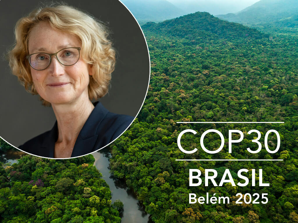 Rainforest ©Gustavo Frazao / Shutterstock and Katrin Böhning-Gaese ©Peter Kiefer