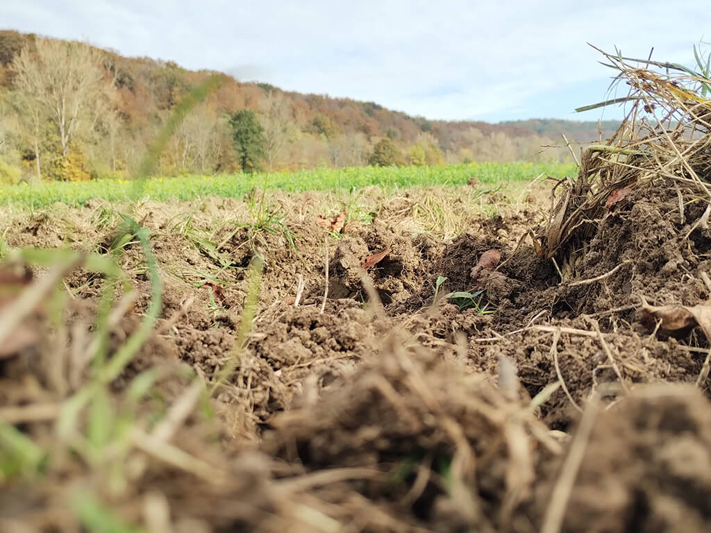 Soil ©Sören Drabesch