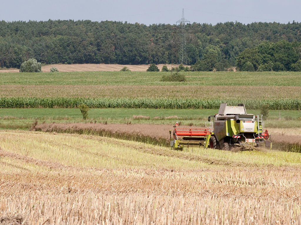 Field ©André Künzelmann / UFZ